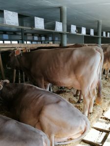 7566332b-8fbb-4072-a812-2d5cbd41218f